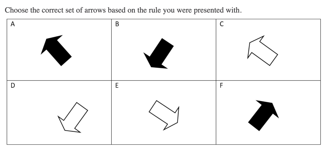 army cognitive test orientation sample question
